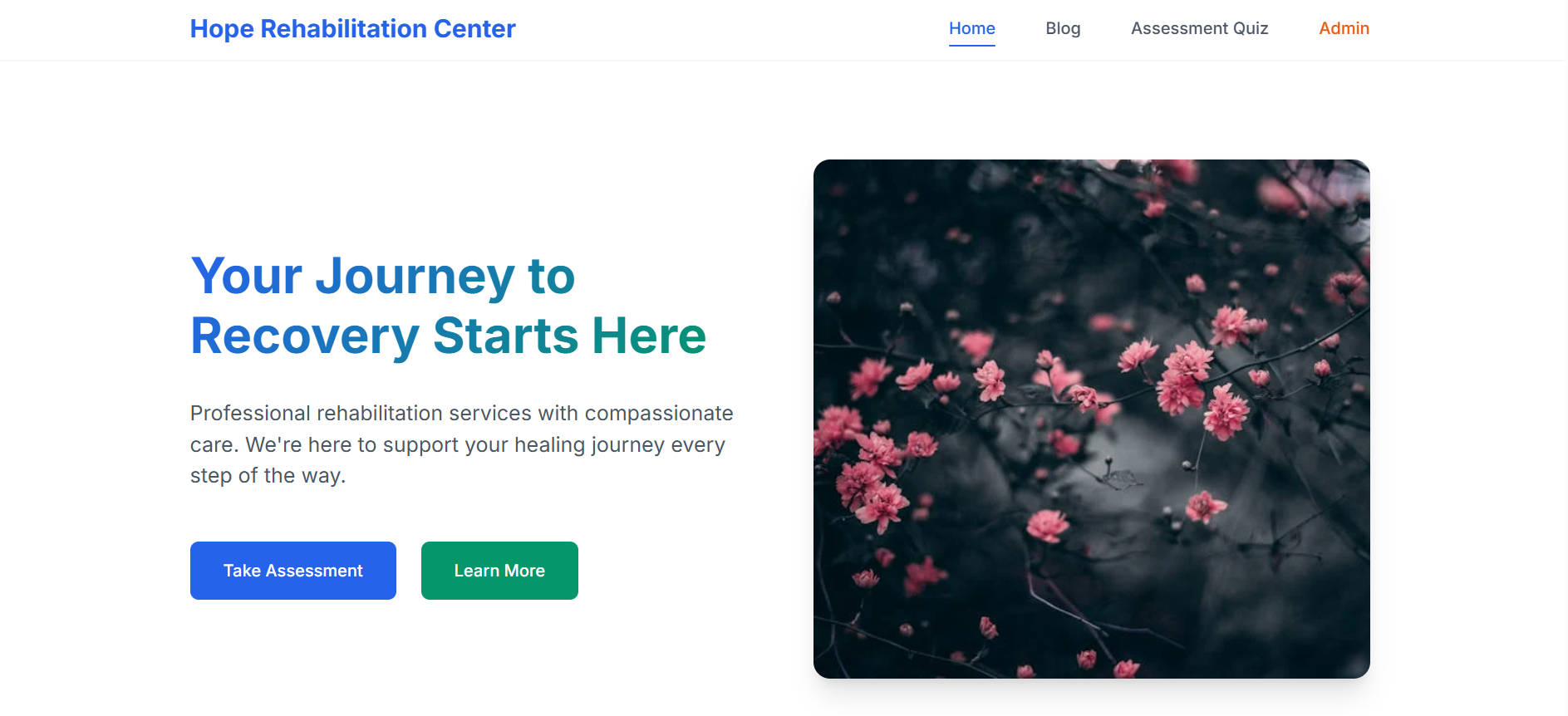 Rehab Center Website